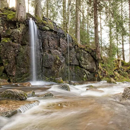 דירה Fidelis-buehl Muggenbrunn