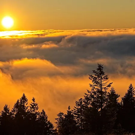 דירה Fidelis-buehl Muggenbrunn *