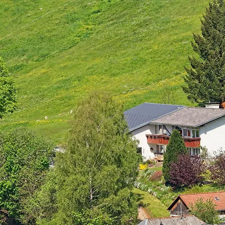 Fidelis-buehl Muggenbrunn * טודנאו