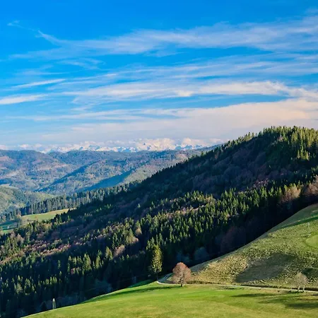 Fidelis-buehl Muggenbrunn דירה *