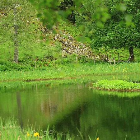 Fidelis-buehl Muggenbrunn