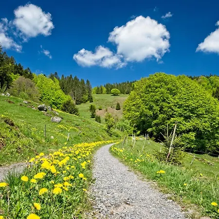 Fidelis-buehl Muggenbrunn דירה טודנאו