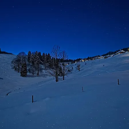Fidelis-buehl Muggenbrunn * טודנאו