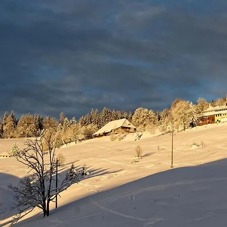 Fidelis-buehl Muggenbrunn דירה *