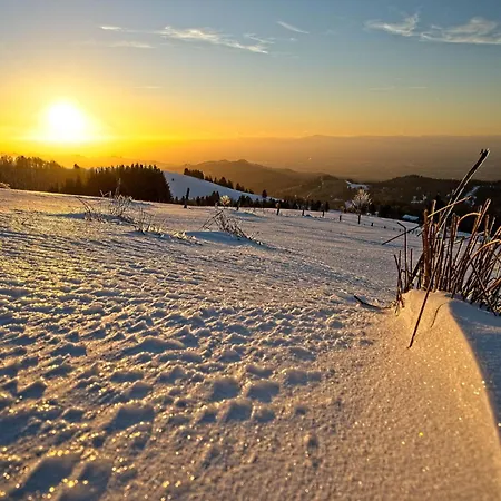 דירה Fidelis-buehl Muggenbrunn *