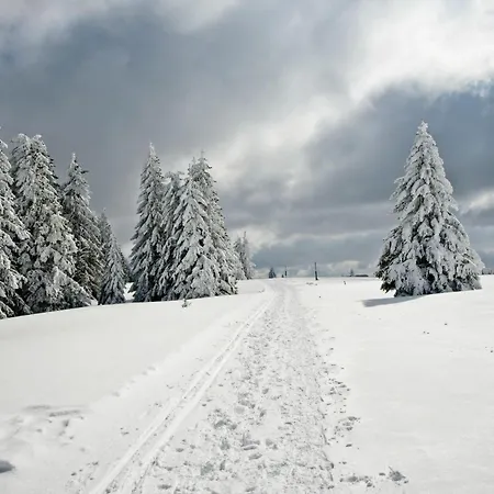 Fidelis-buehl Muggenbrunn *