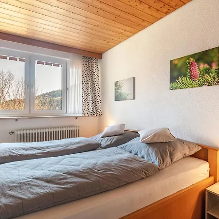 Fidelis-buehl Muggenbrunn טודנאו