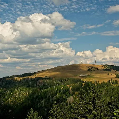 Fidelis-buehl Muggenbrunn דירה