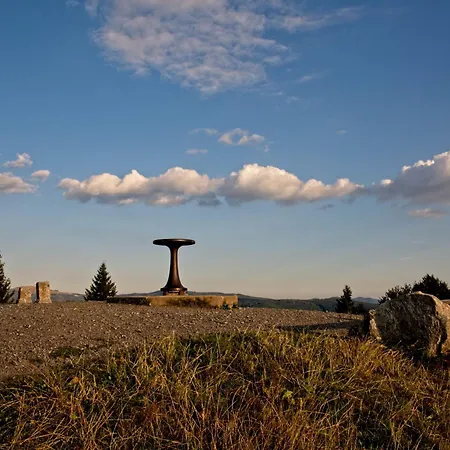 Fidelis-buehl Muggenbrunn *