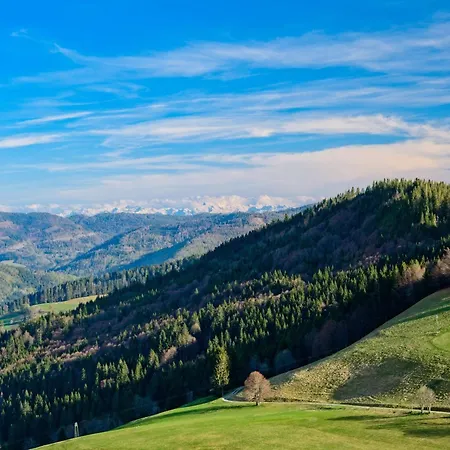 Fidelis-buehl Muggenbrunn Διαμέρισμα Todtnau