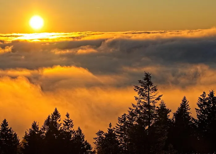 شقة Fidelis-buehl Muggenbrunn *